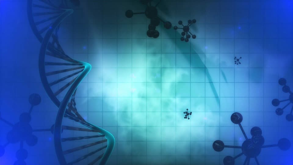 胞外體與癌症系列專文(一)  癌症的先鋒特攻隊 – 胞外體