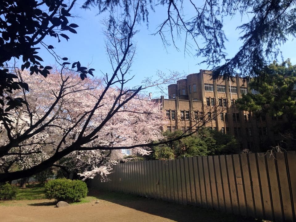 日本學者發表世界最大規模肝癌全基因定序為肝癌基因分類
