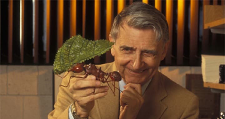 1929年06月10日 社會生物學之父－美國生物學家愛德華·奧斯本·威爾森誕生