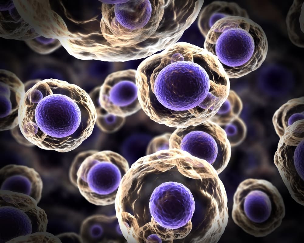 羅氏大藥廠的液態生物檢體 (liquid biopsy) 試劑通過 FDA 核准
