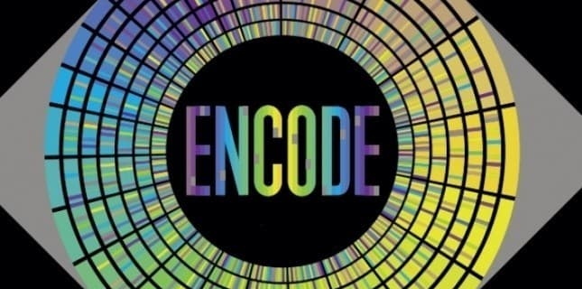 2003年10月09日 開啟 ENCODE Project 註解人類基因序列