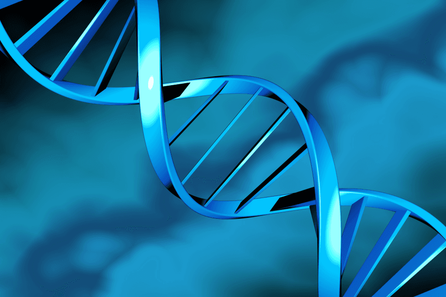 2009年11月04日 Genome 10K 計畫啟航