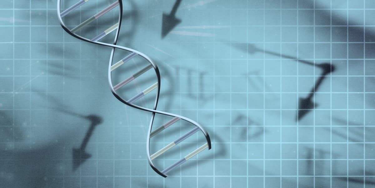 DNA 分子鐘  找尋祖先蹤跡
