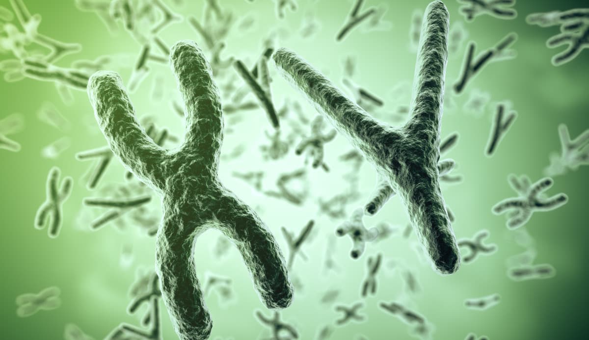 CRISPR-Cas9 開創染色體異常治療新契機！