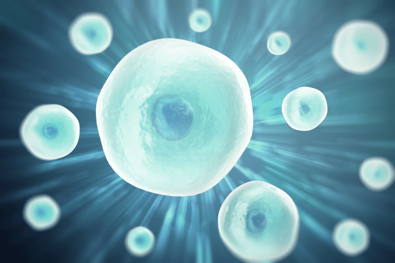 2019 年持續璀璨 癌症細胞療法全球市場概況
