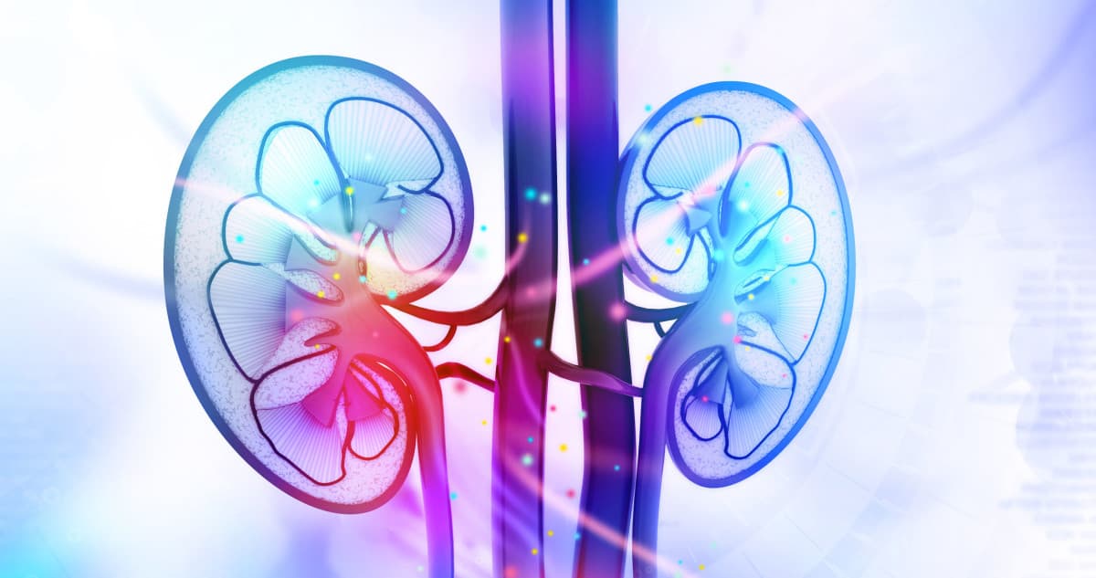 TECENTRIQ 和 Avastin 雙藥出擊！ Genentech 腎癌晚期第三期臨床試驗結果亮眼