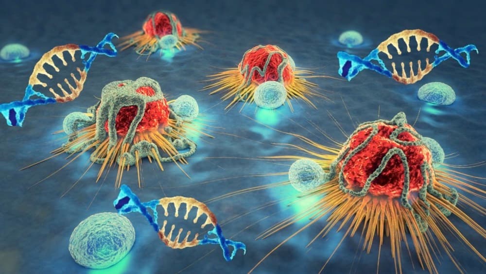 CAR-T 市場再起漣漪！ Cellectis 獲得 CRISPR 美國專利！