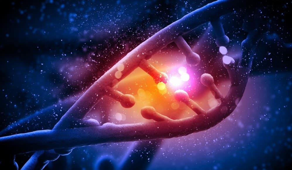CRISPR 結合 DNA 修復系統修飾單核苷酸     基因編輯將更精準！