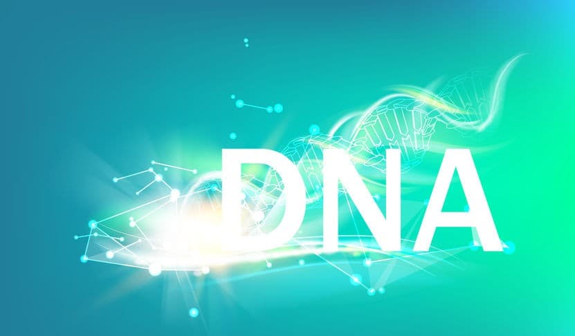 守護細胞的神盾局特工 保護 DNA 斷裂並協助修復