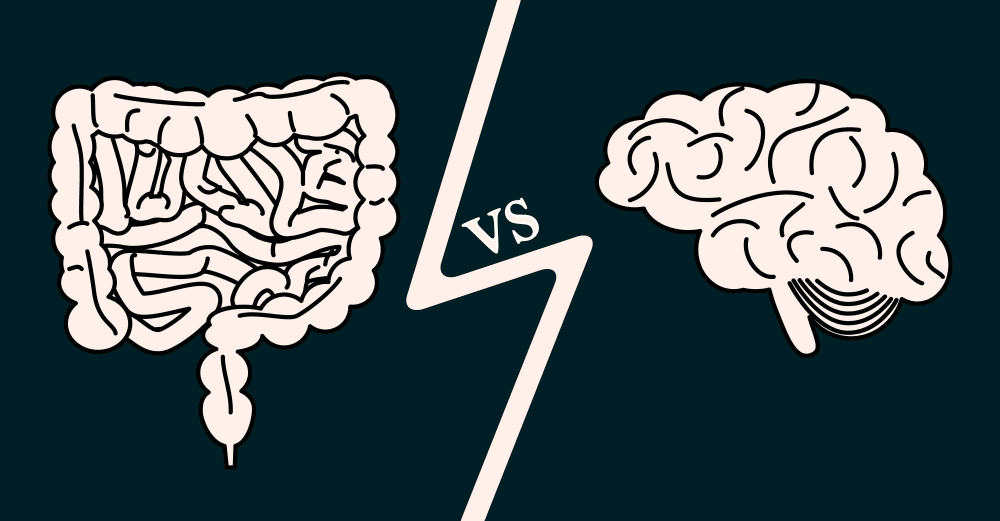 腸道與大腦：科學家揭示影響神經退化疾病的腸－腦軸線新關聯