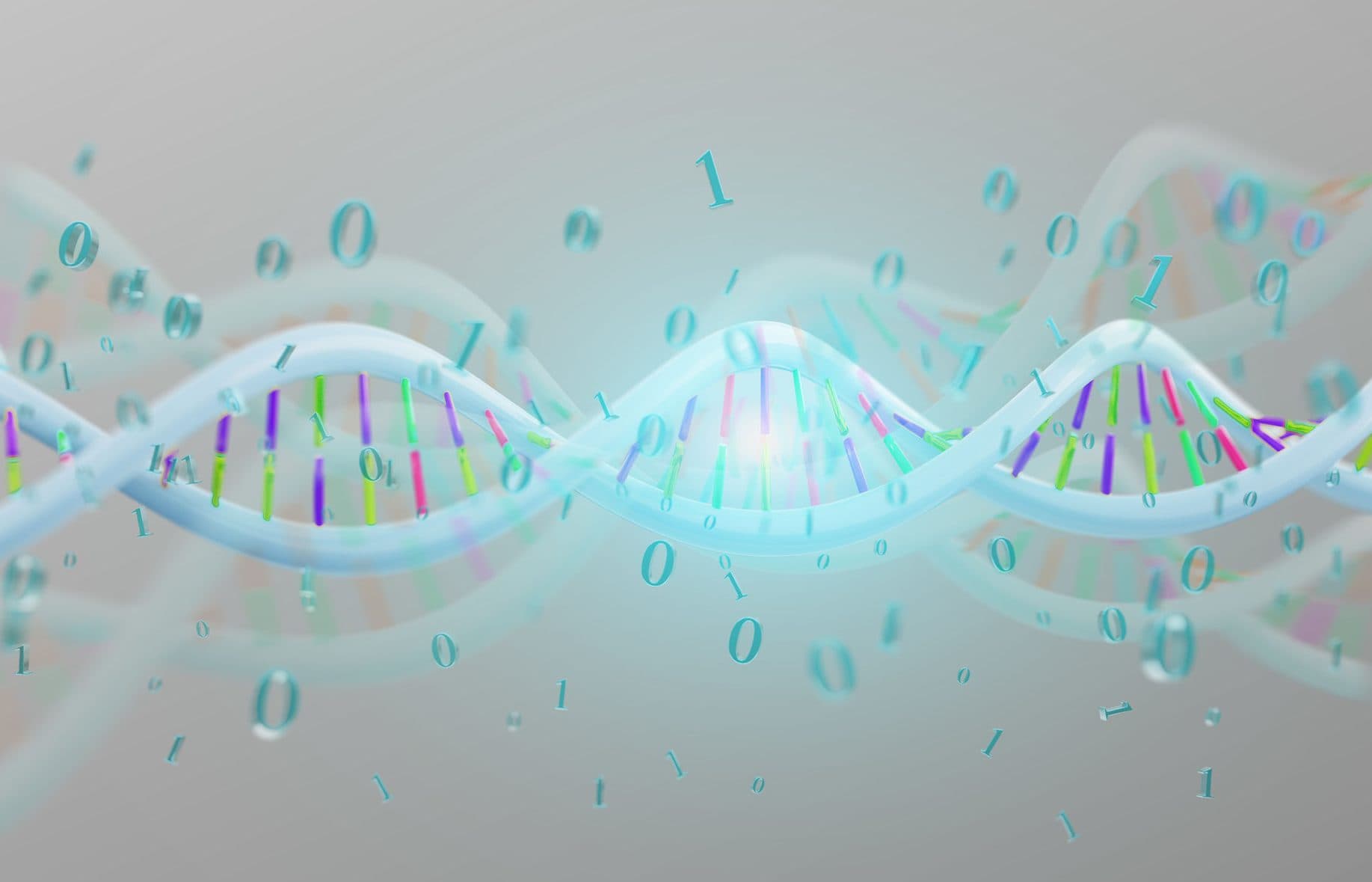 缺乏 Dna2 核酸酶 基因跳躍不受控？