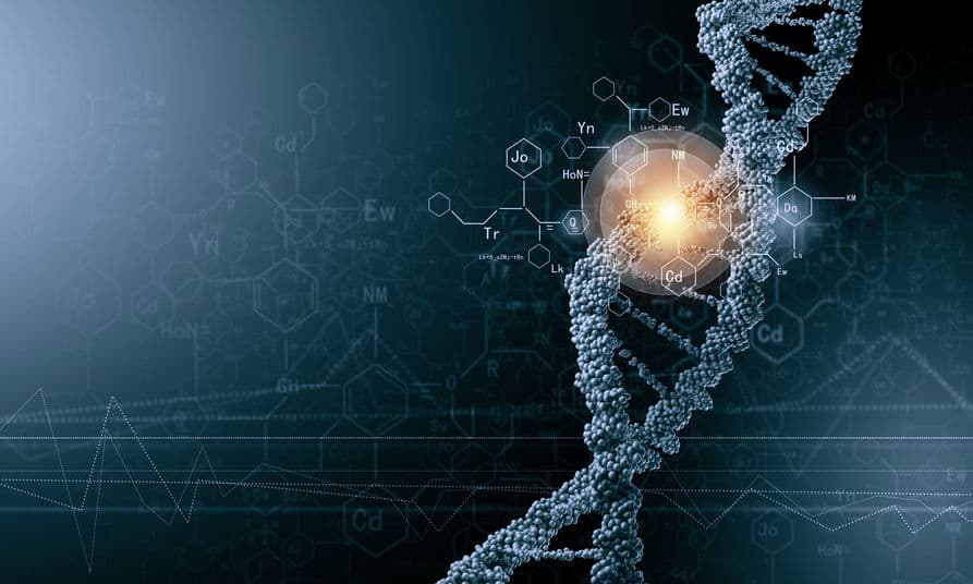 我們與 DNA 的距離 十億原子計算模擬器誕生