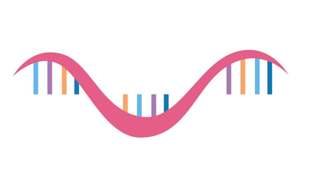 癌細胞照妖鏡！ miRNA 甲基化可望成新檢測標記