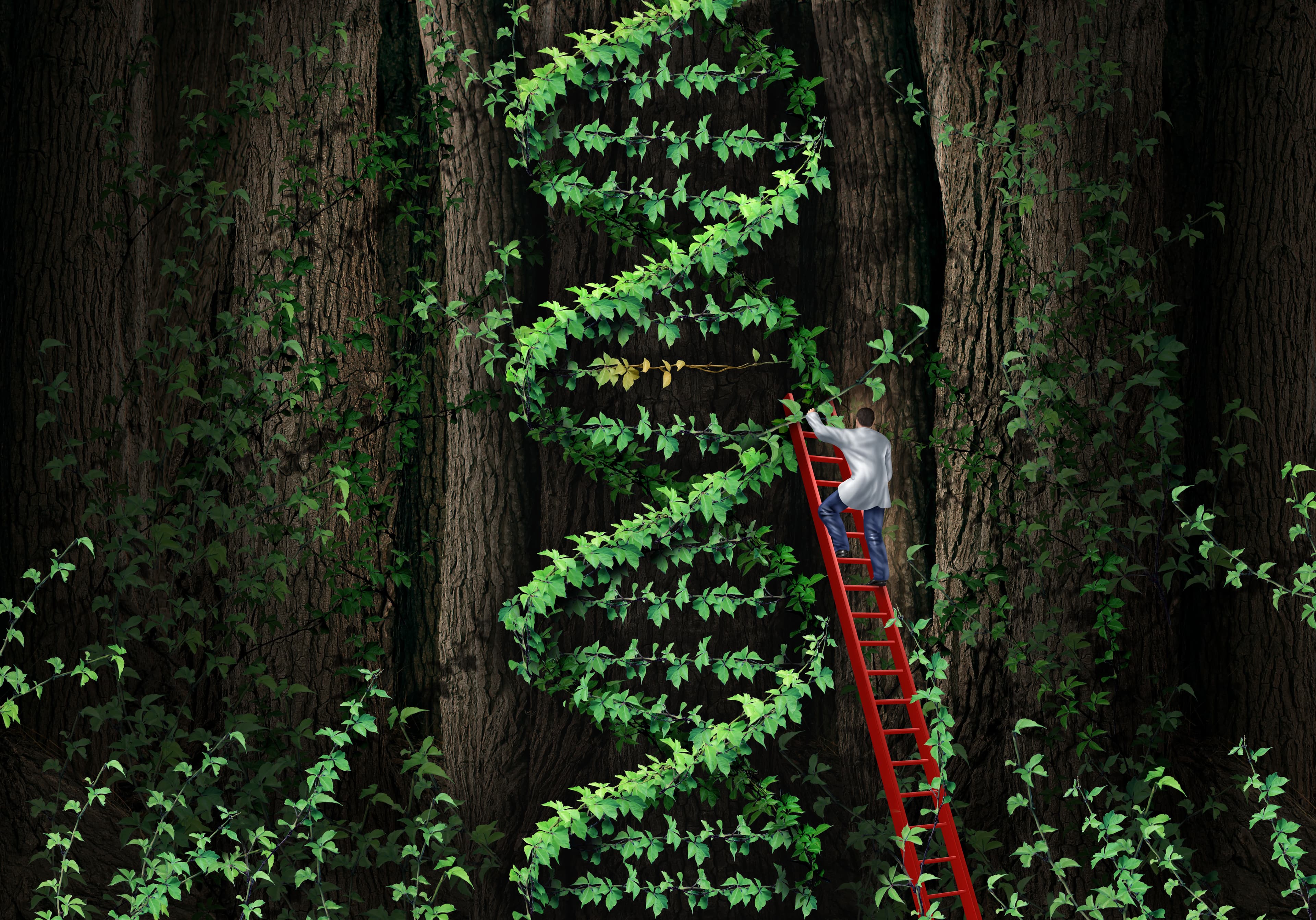 基因編輯應用於臨床治療首例！Vertex 和 CRISPR 貧血患者治療結果良好