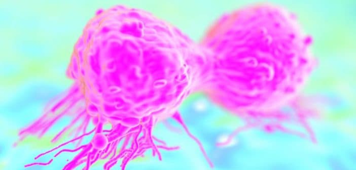 改變腫瘤微環境和人體的微生物群輔助免疫療法！- 2020 AACR 精選特輯
