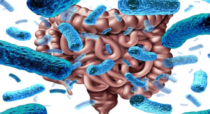 全球第一個基於微生物基因體的治療藥物公布臨床三期數據