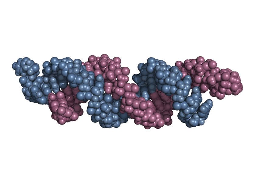 RNA 修飾蛋白抗癌前景俏！AstraZeneca 攜手 Accent Therapeutics