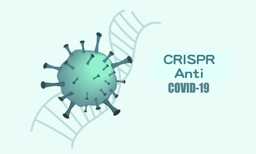 CRISPR 基因編輯對抗新冠肺炎？ 細胞實驗：抑制 9 成新冠病毒