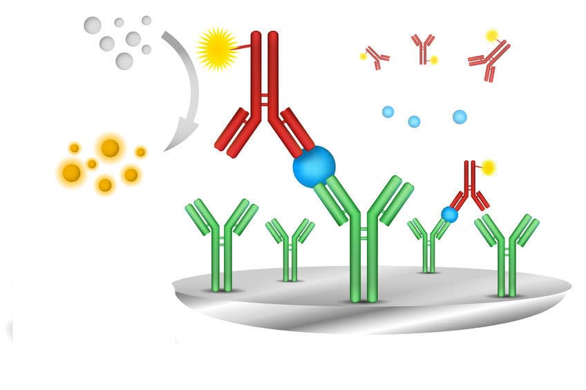 加速癌症研究！Cancer Research UK 和 Abcam 合作開發新型客製化抗體！