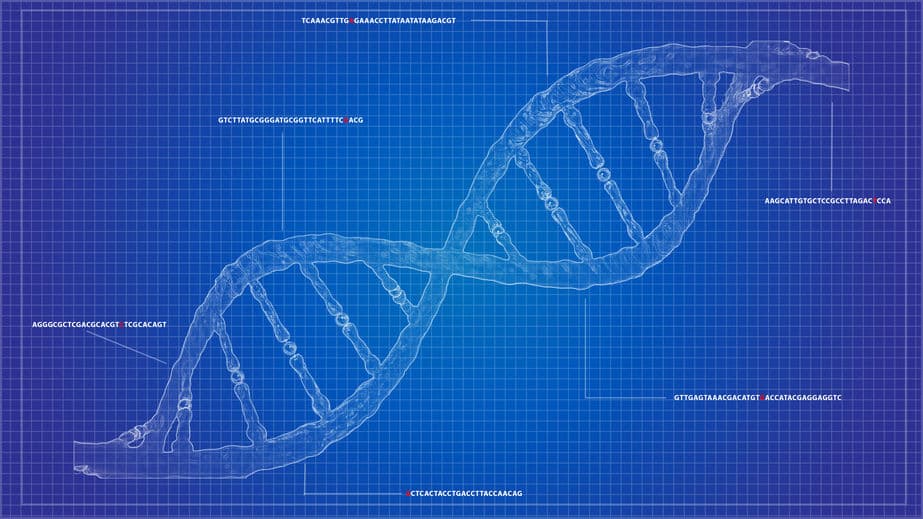 FDA 點頭！Clear Labs 奈米孔定序法 COVID-19 檢測獲緊急認可
