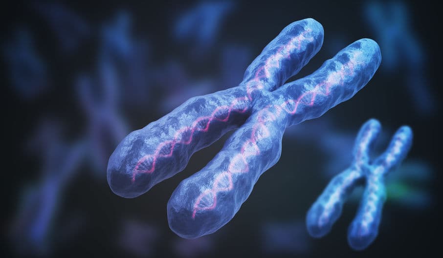 癌細胞產生抗藥性？染色體破碎是幫兇