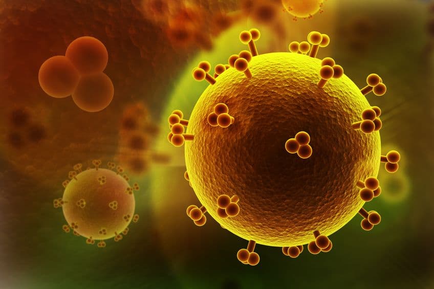 PrEP 預防愛滋失效？陰道微生物相抗 HIV？