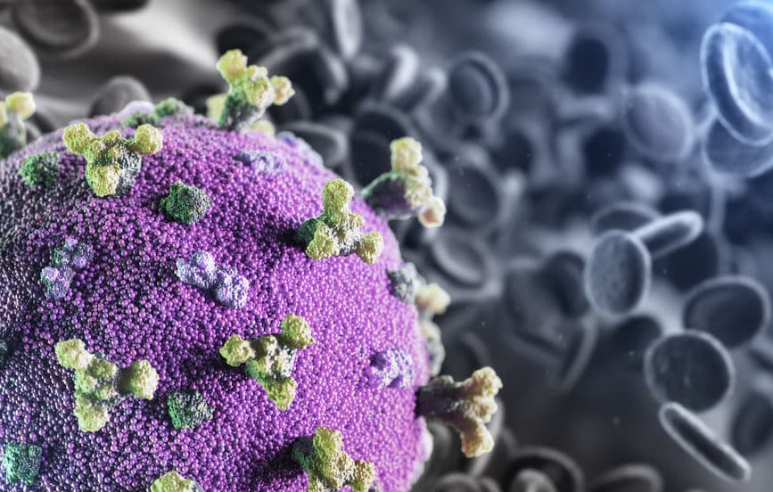human genes that fight SARS-CoV-2 infection