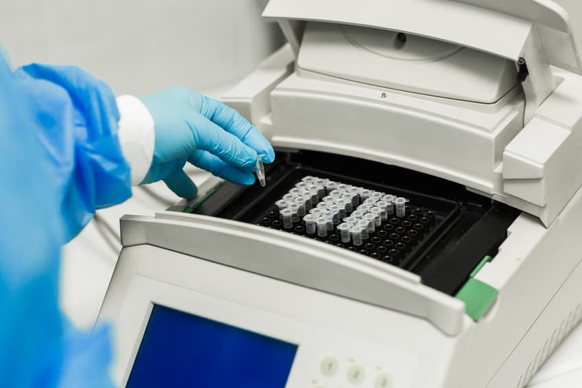 分子檢測-pcr