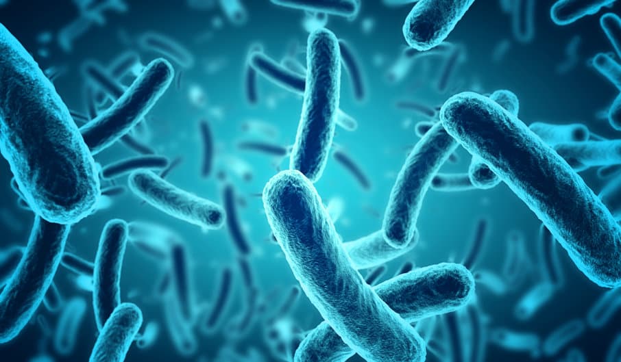 腸道微生物新發現：自閉症與腸道發炎有關？CRISPR 「集體編輯」微生物基因組