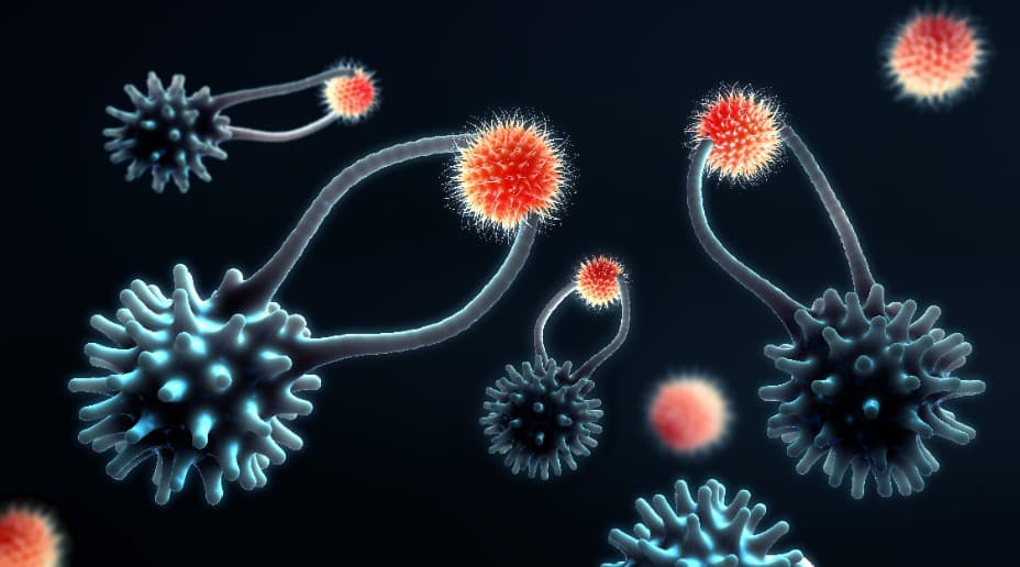 怎麼躲避免疫系統？科學家用 DNA 條碼標記癌細胞找線索