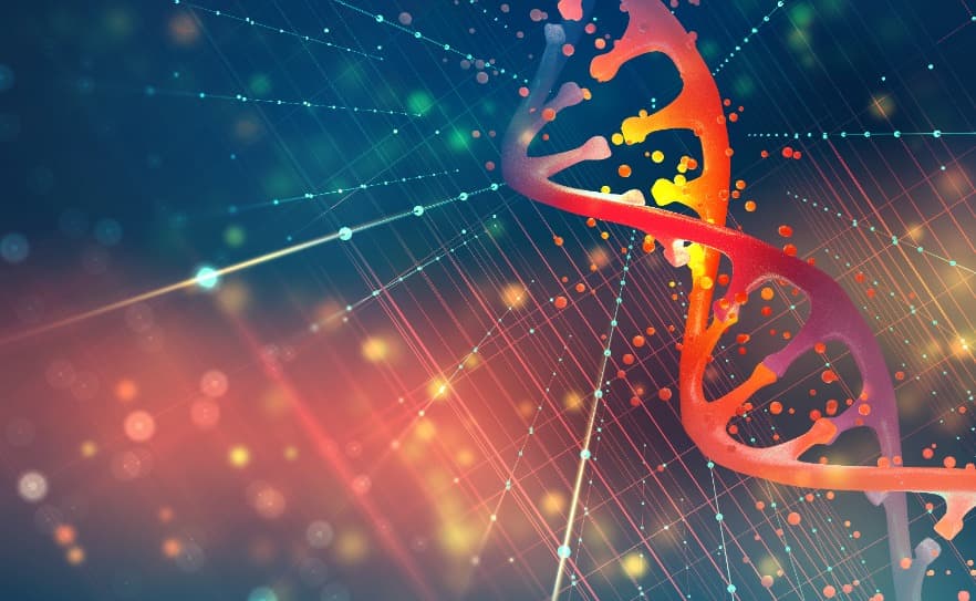 CRISPR 基因編輯技術再優化！麻省理工新開發 PASTE 有望治大量基因突變疾病