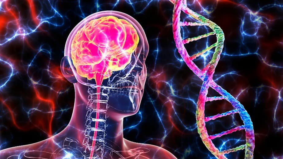 美開發 RNA 標靶讓有毒蛋白質自行降解，讓突變的基因不再作怪