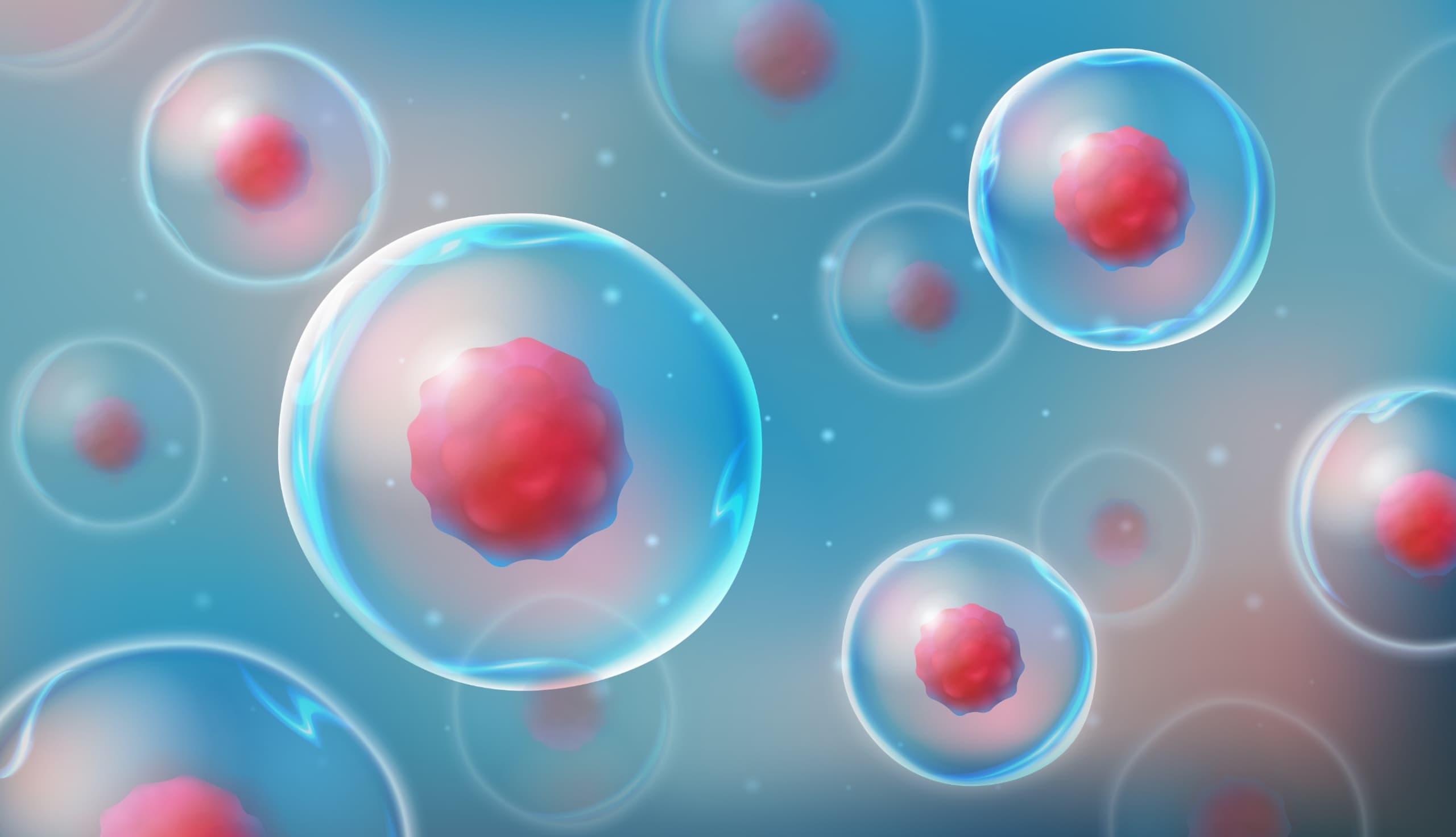 stem cell cured HIV Düsseldorf Patient