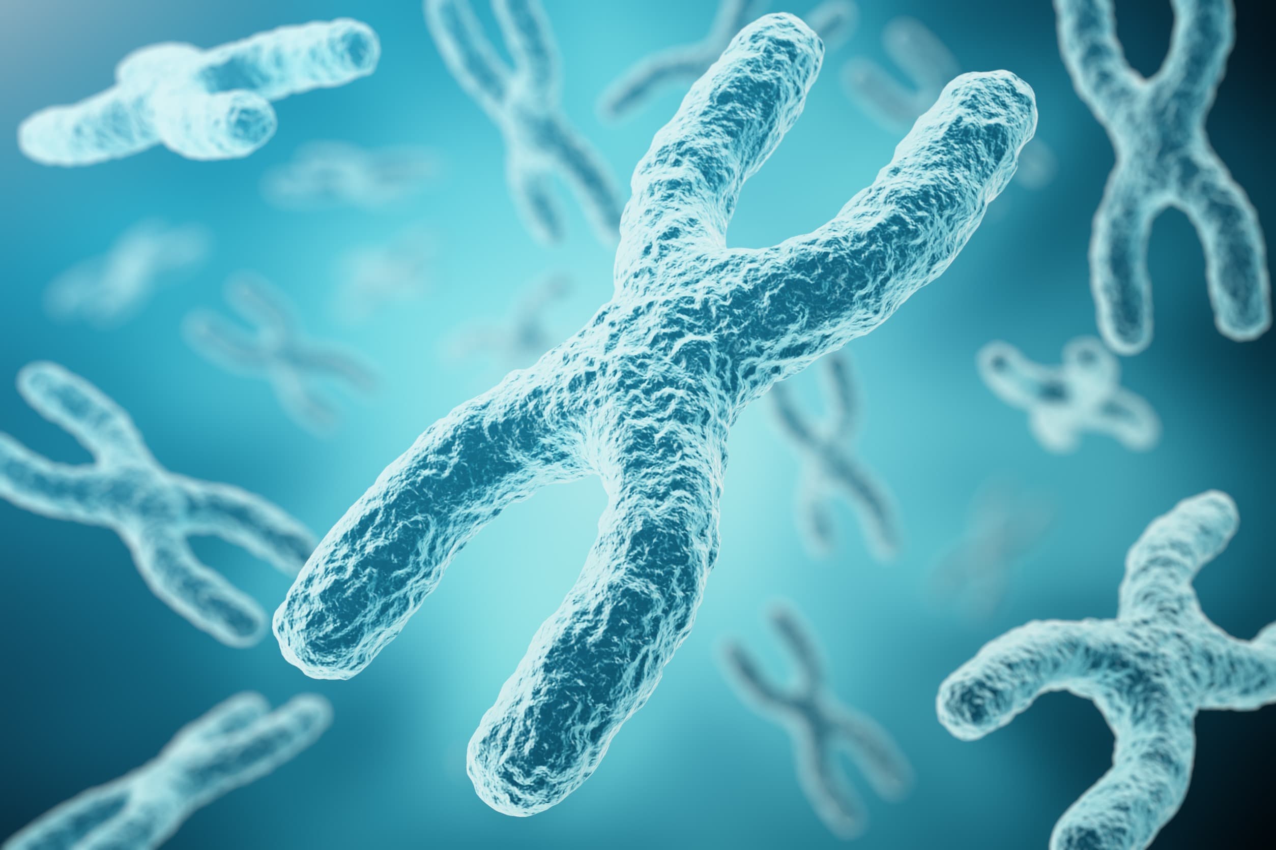 染色體保護者的強大「粒」量！科學界掀起端粒強大生物學功能的面紗
