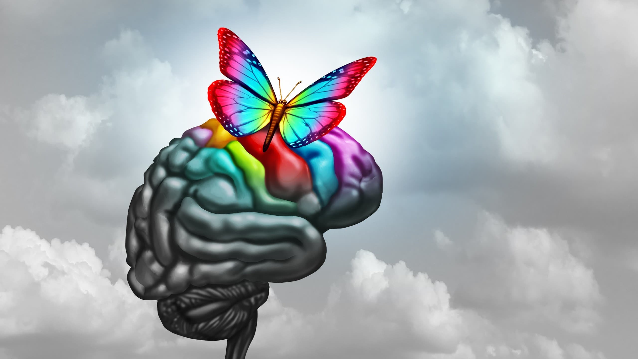 機器學習分類自閉症譜系障礙，將有助開啟精準治療標靶研究