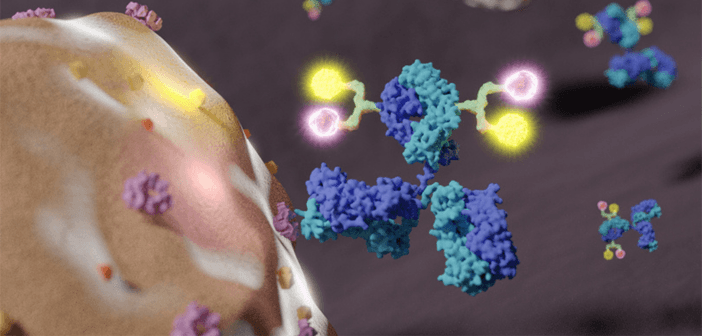抗體藥物複合體（Antibody-Drug Conjugates, ADCs）透過精準組合抗體、連接子與細胞毒性小分子藥物三大結構，將藥物直接送進癌細胞。（來源：McGovern Medical School）