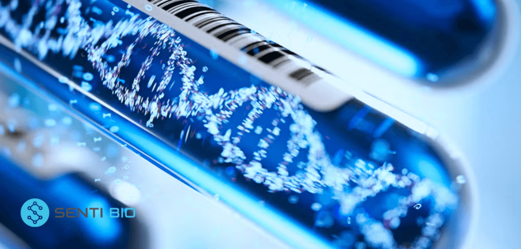 FDA 授予 Senti Biosciences 開發中細胞治療產品「再生醫學先進療法資格」
