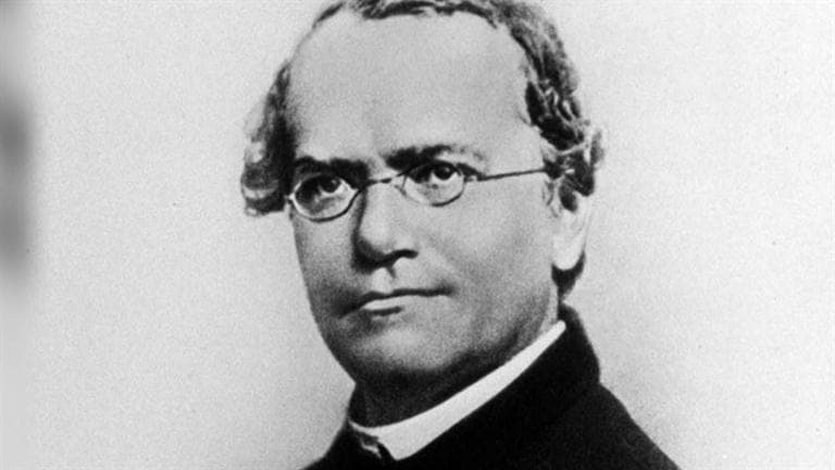 1865年02月08日 奧地利遺傳學家 Gregor Johann Mendel首次發表豌豆遺傳學研究成果