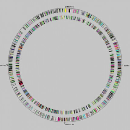2009年02月06日 以色列遺傳學團隊扭轉基因冗餘 (genetic redundancy) 的刻板印象