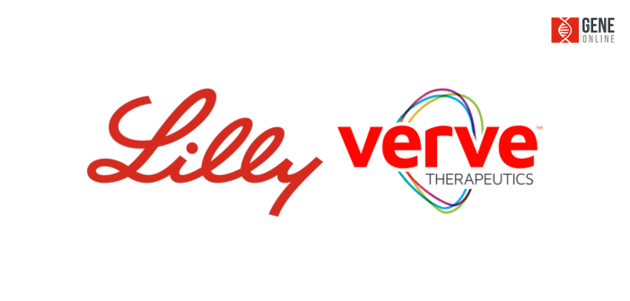 禮來 10 億美元收購 Verve Therapeutics,盼來一次性心血管疾病療法